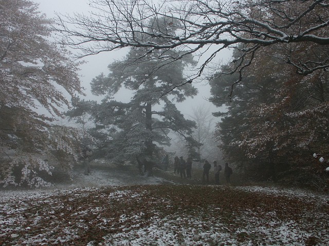 Raichberg 2007 Bild 20